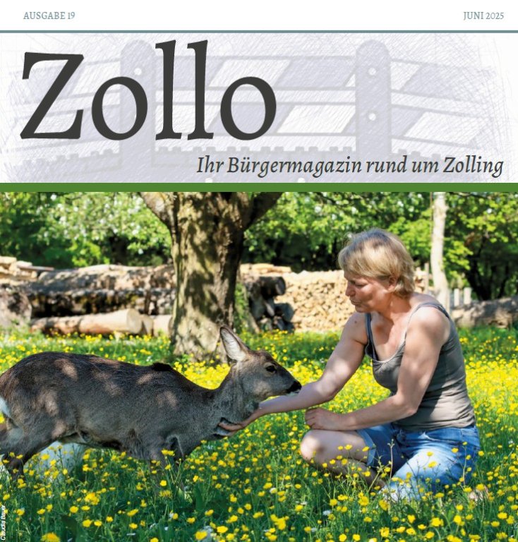 Zollo Nr. 19