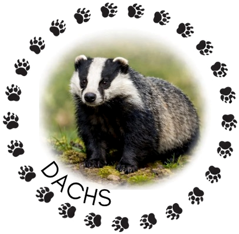 Logo Dachsgruppe